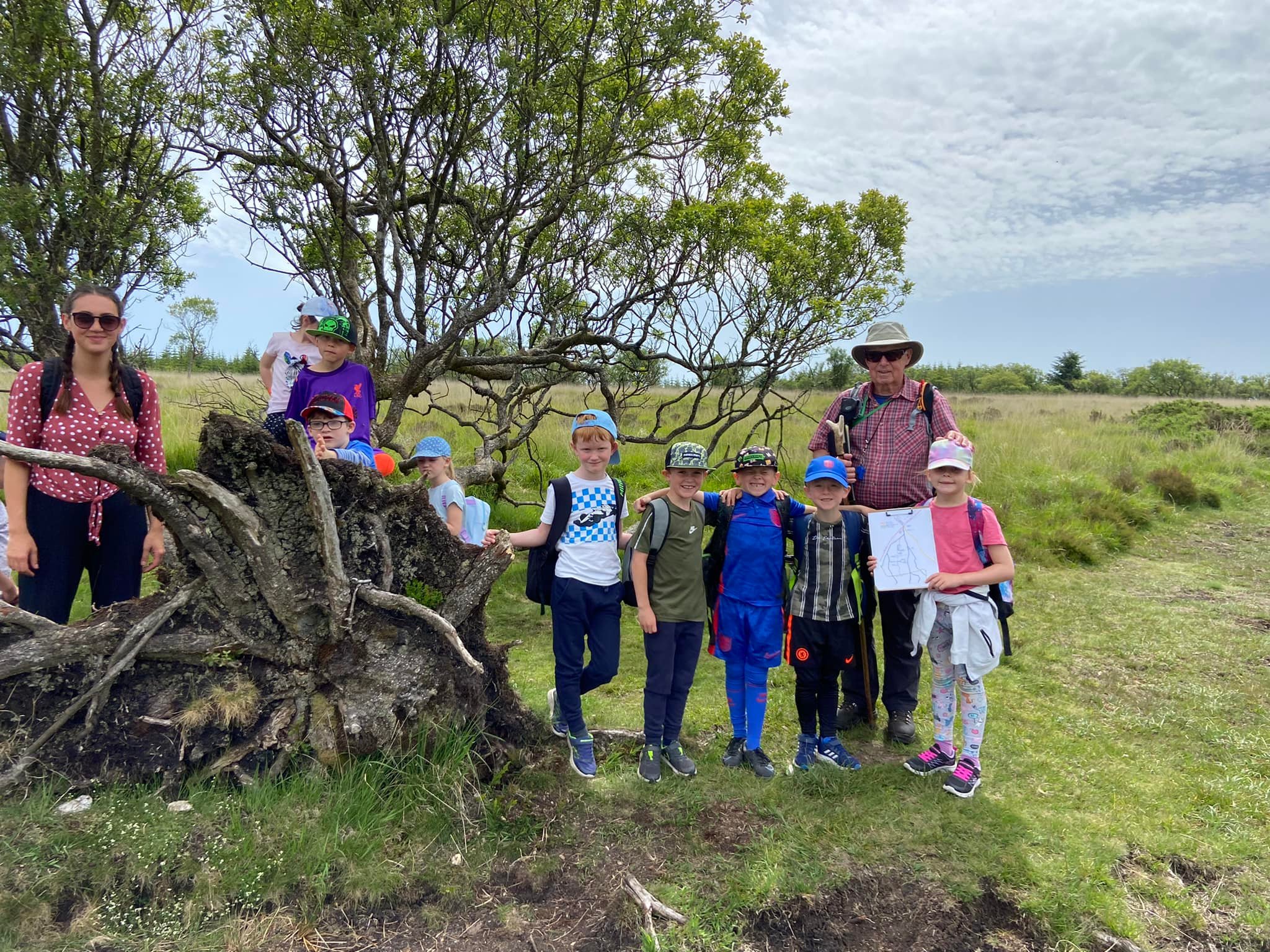 Bovey Tracey Primary and the Coop Community Fund Dartmoor Pony