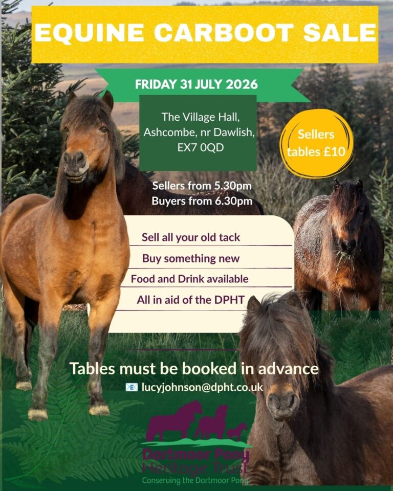 Join us at the Dartmoor Pony Heritage Trust's Equine Car Boot Sale on Friday 31 July 2026 at The Village Hall, Ashcombe, near Dawlish (EX7 0QD) for an evening of bargains, friendly faces and fundraising.